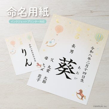 IJ命名用紙 A4 | 命名用紙