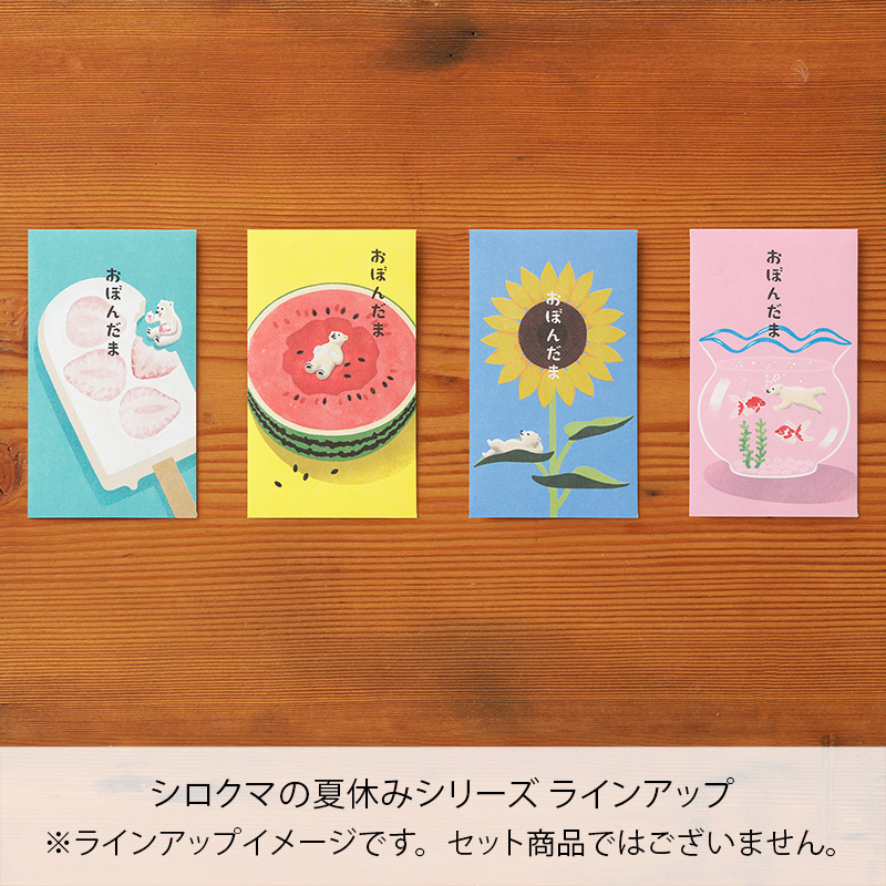 お盆玉 シロクマ【数量限定】14