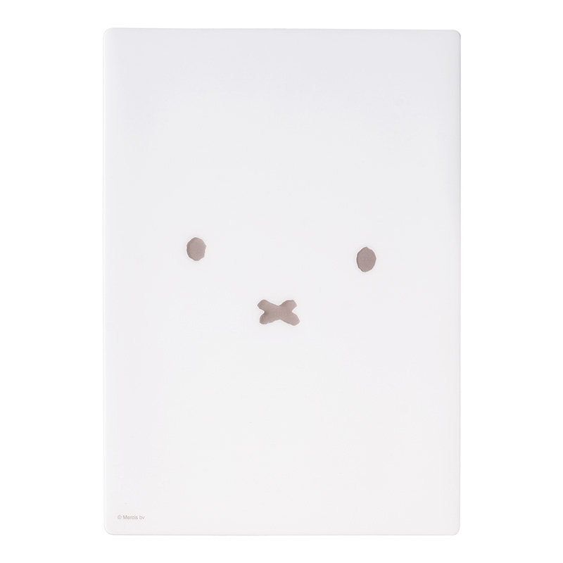 ブルーナ 下敷き2